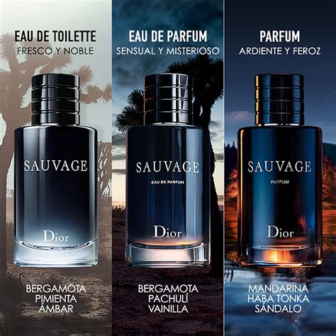 dior sauvage pillars|sauvage dior fragrance.